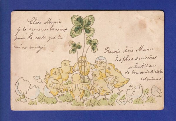 OISEAU - Poussins // pli d'angle //
