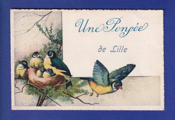 OISEAU - Mésanges - Une pensée de Lille