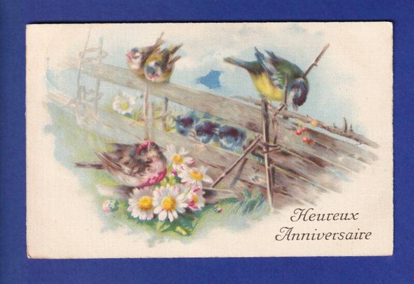 OISEAU - Mésanges