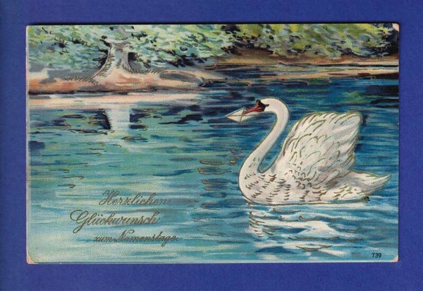 OISEAU - Cygne messager