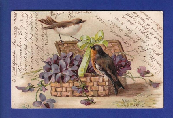 OISEAU - Rouge-Gorge et Fleurs