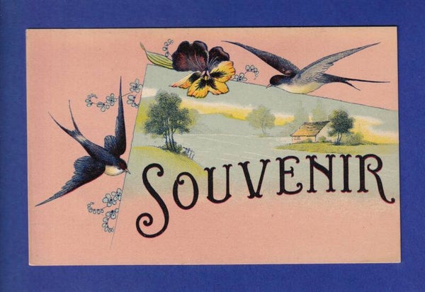 OISEAU - Hirondelles - Souvenir