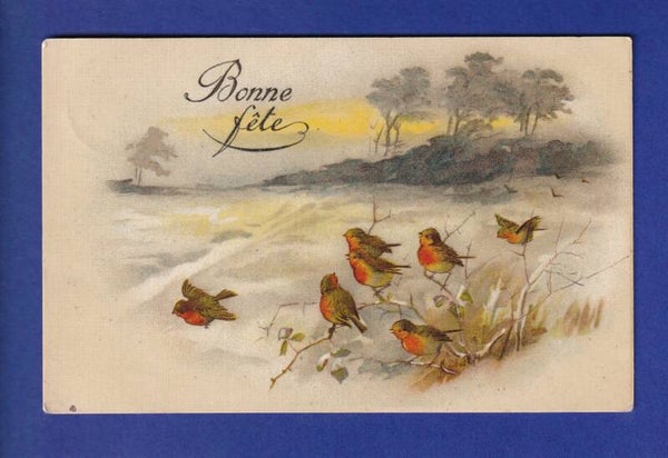 OISEAU - Rouges-Gorges