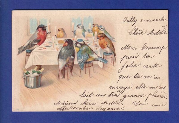 OISEAU - Les oiseaux à table