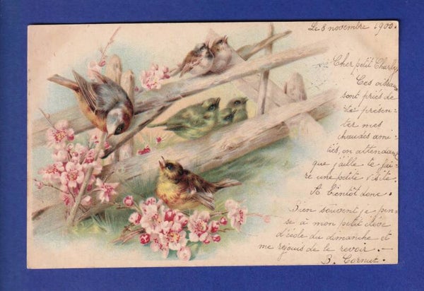 OISEAU - Fleurs