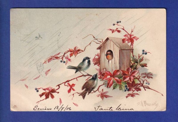 OISEAU - Maisonnette