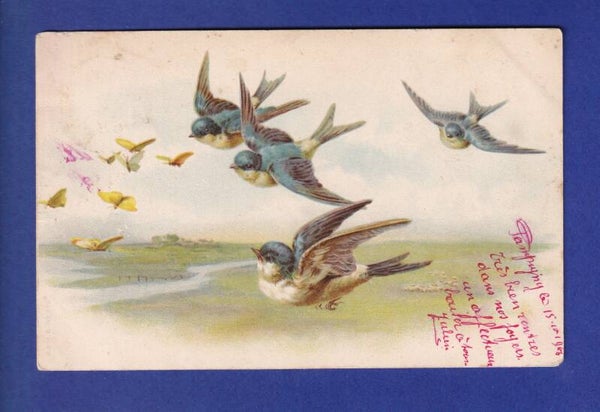 OISEAU - Hirondelles