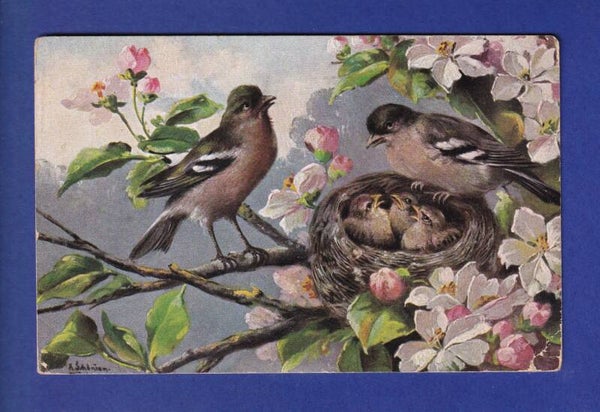 OISEAU - Parents et nid // pli d'angle //