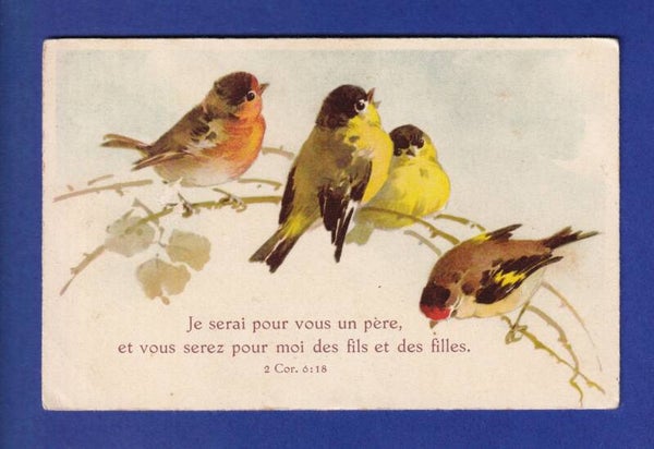 OISEAU - Mésange et Rouge-Gorge - Verset