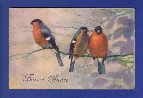 OISEAU - Bonne Année