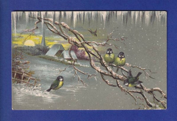 OISEAU - Mésanges et paysage d'hiver // voir dos //