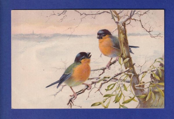 OISEAU - Rouges-Gorges