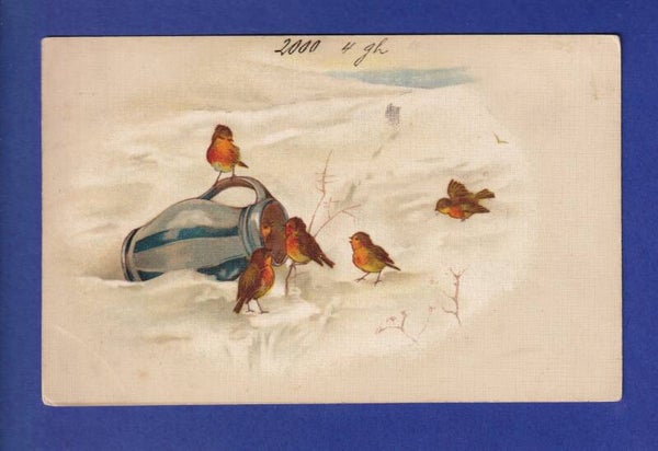 OISEAU - Rouges-Gorges