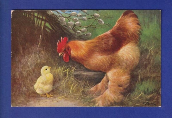 OISEAU - Coq et poussin