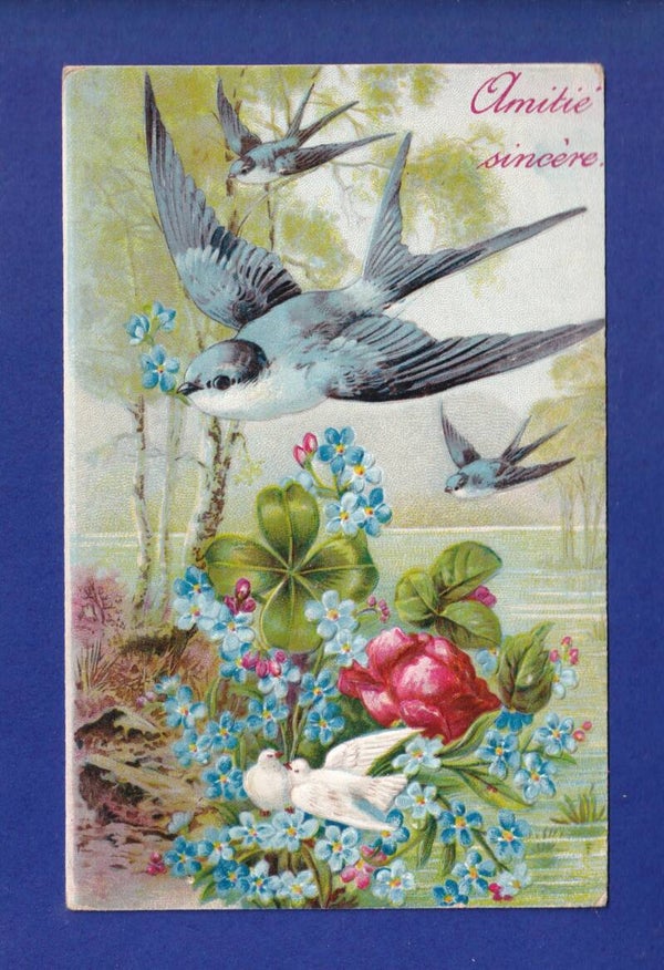 OISEAU - Hirondelles et colombes - Carte gauffrée