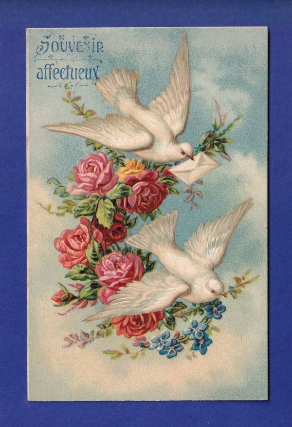 OISEAU - Colombes - Carte gauffrée