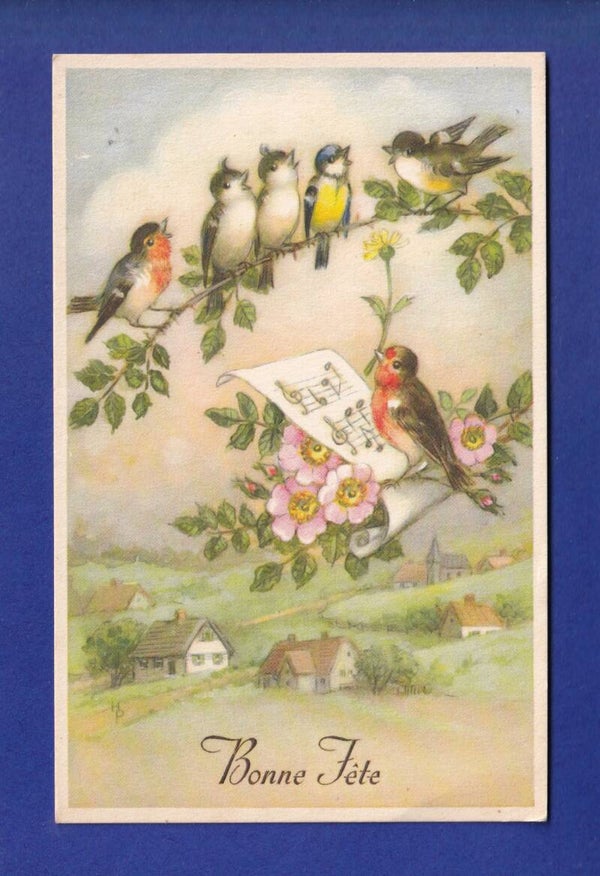 OISEAU - Bonne Fête