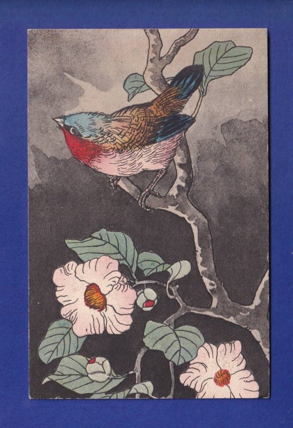 OISEAU