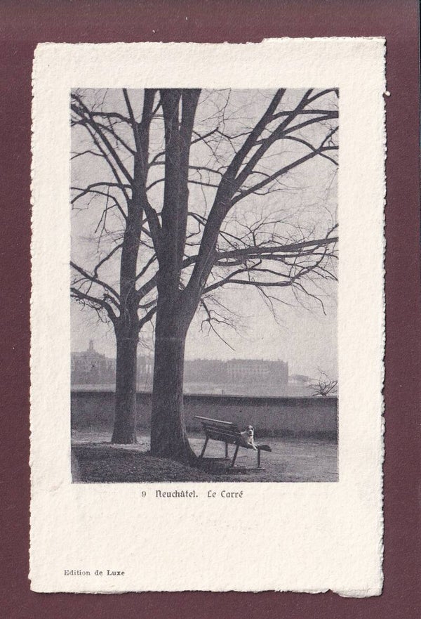 NEUCHÂTEL - Le carré - Chien