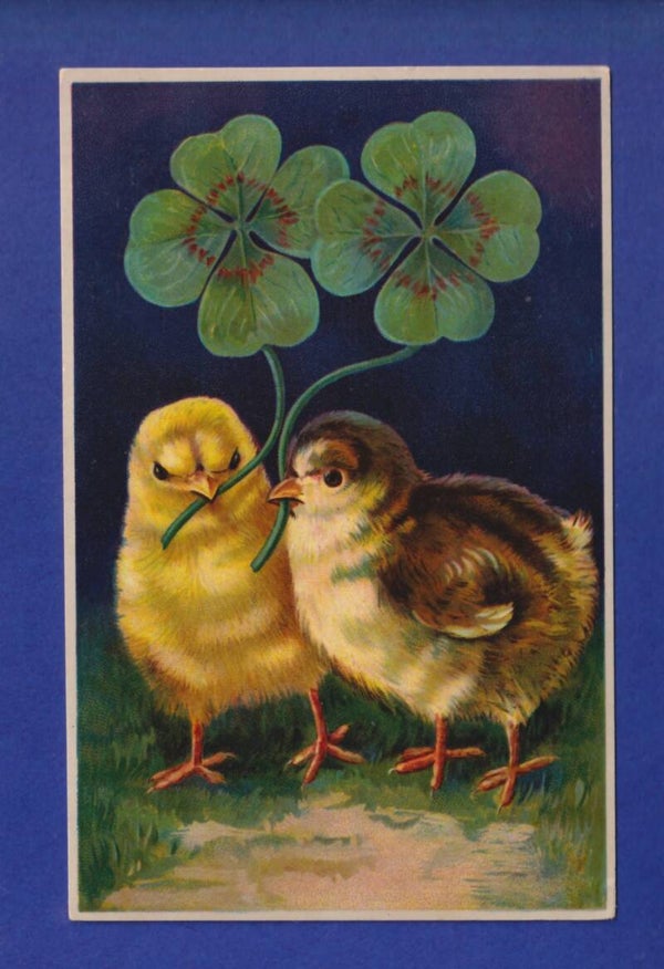 OISEAU - Poussins et trèfles à 4 feuilles