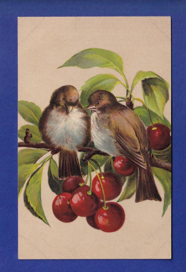 OISEAU - Moineaux