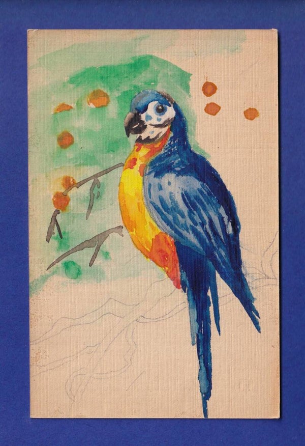 OISEAU - Perroquet (Dessin)