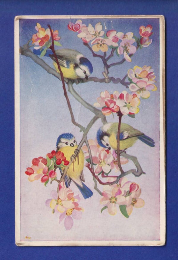OISEAU - Mésanges // pli //