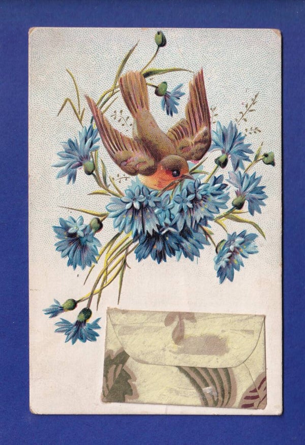 OISEAU - Rouge-Gorge et Fleurs