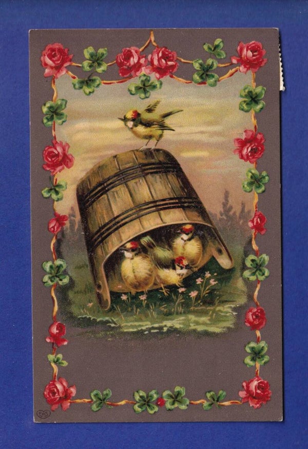 OISEAU et roses