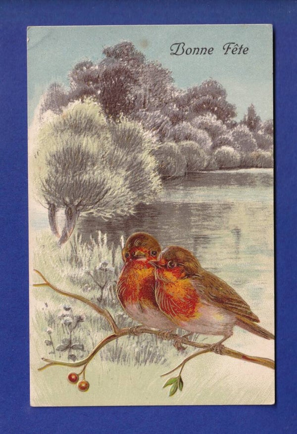 OISEAU - Rouges-Gorges - Carte gauffrée