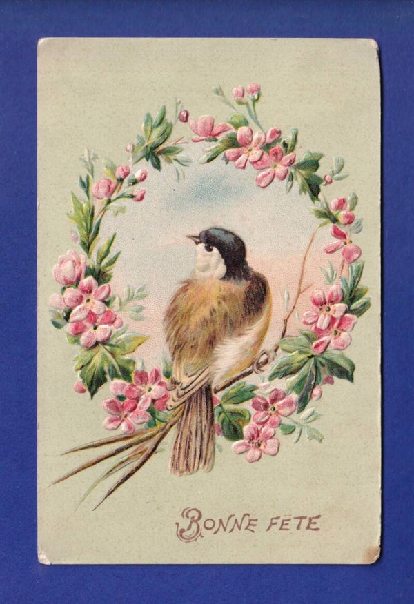 OISEAU - Mésange et fleurs - Carte gauffrée