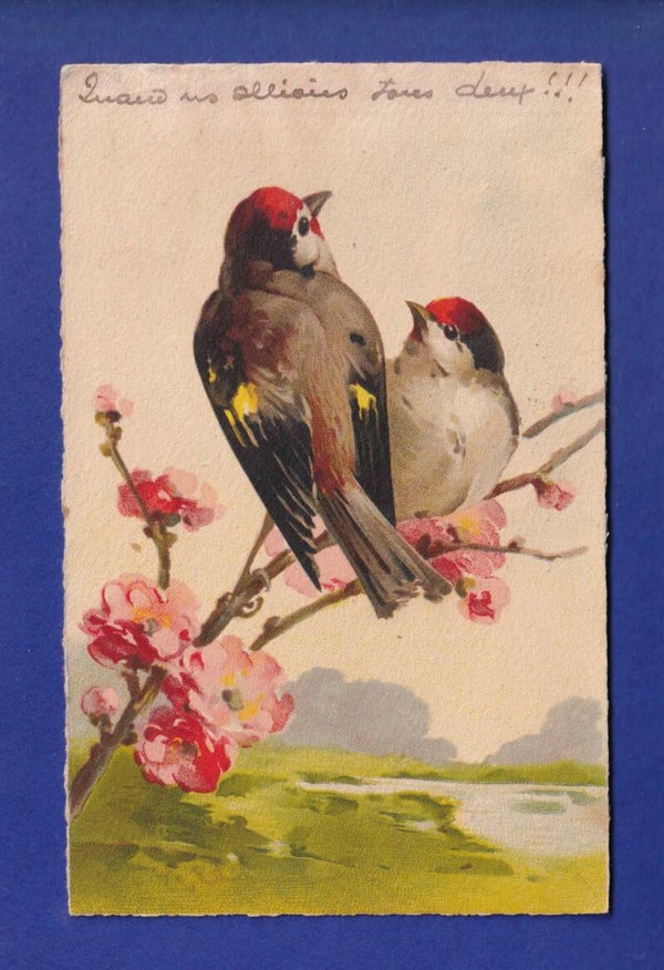 OISEAU par Klein