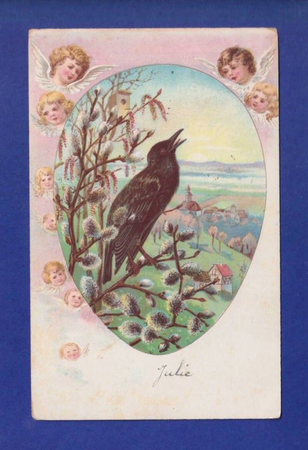 OISEAU - Corneille