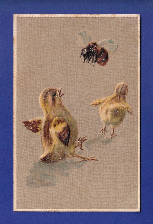 OISEAU - Poussins et abeille