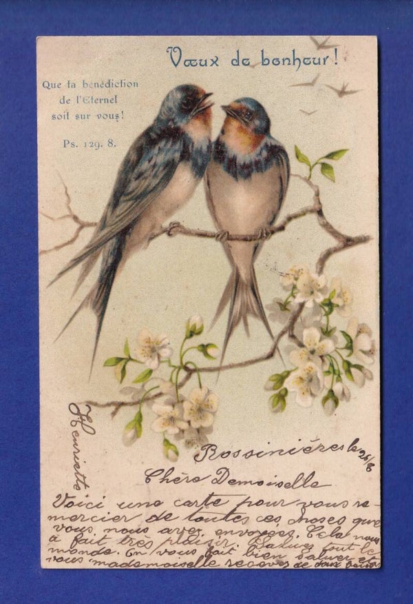 OISEAU - Verset