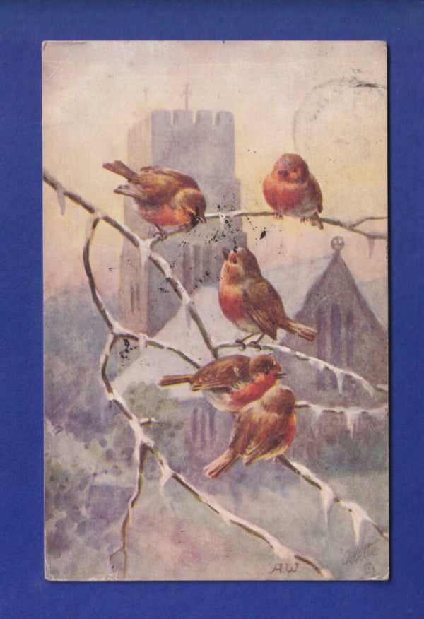 OISEAU - Rouges-Gorges