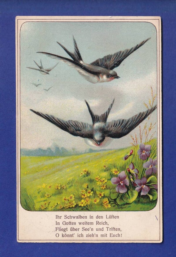 OISEAU - Hirondelles / Schwalben - Gedicht