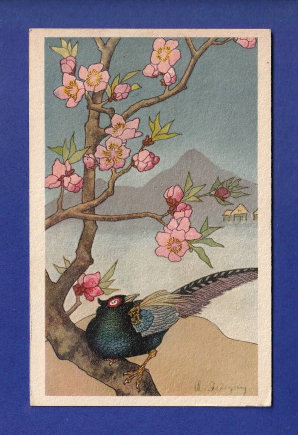 OISEAU