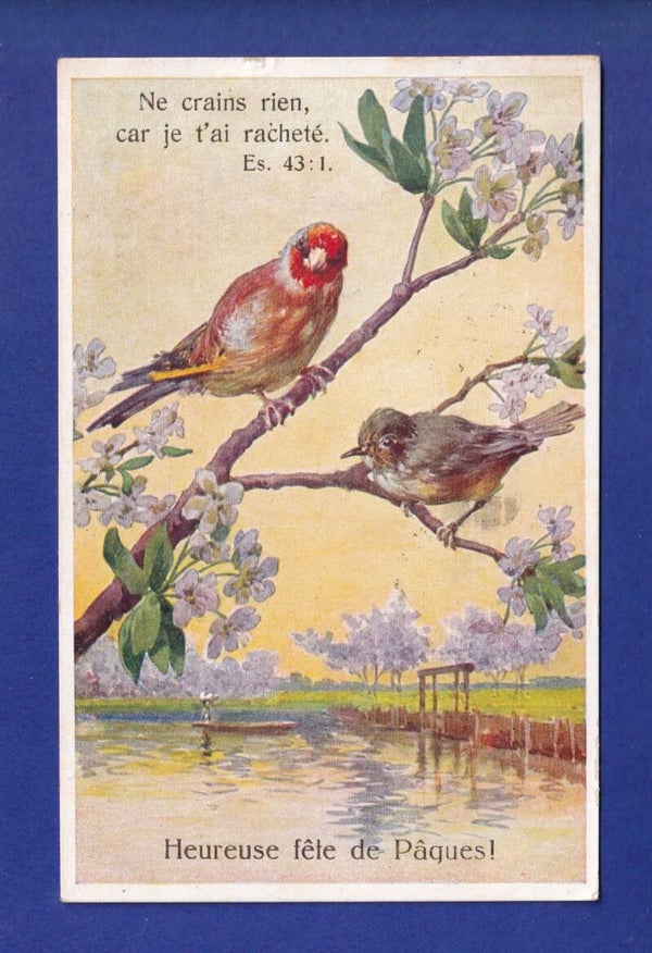 OISEAU - Verset