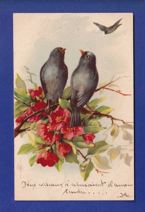 OISEAU - Fleurs