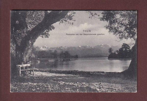 THUN - Panorama von der Seepromenade
