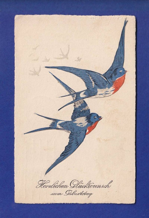 OISEAU - Hirondelles