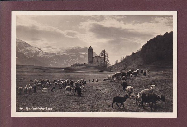 LENZ - Marienkirche - Schafherde