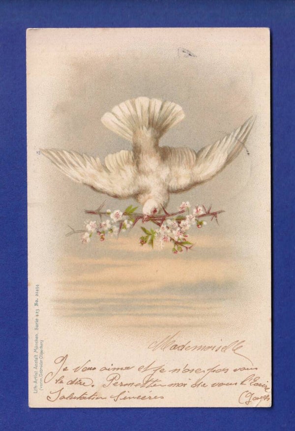 OISEAU - Colombes