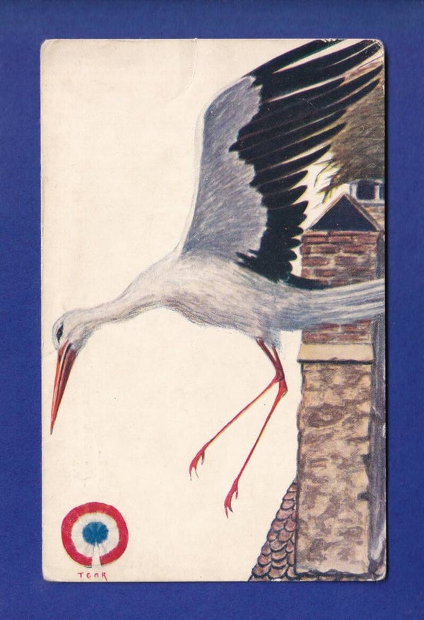 OISEAU - Cigogne // déchirure //