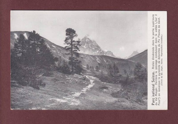 Parc national - GRISONS - Val Minger