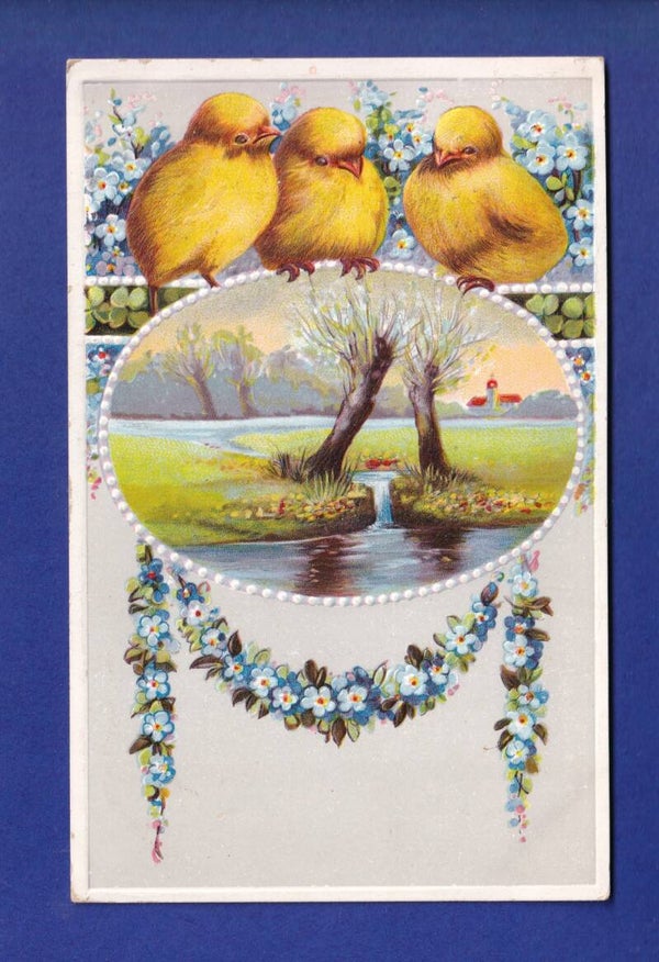 OISEAU - Poussins