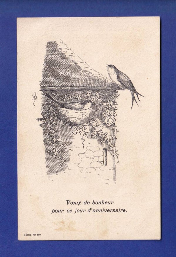 OISEAU - Hirondelles