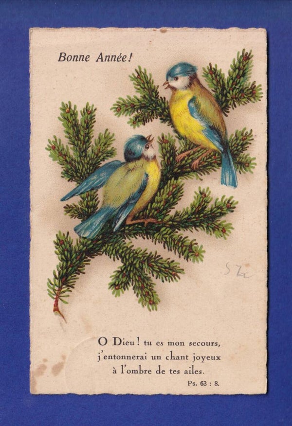 OISEAU - Mésanges - Verset