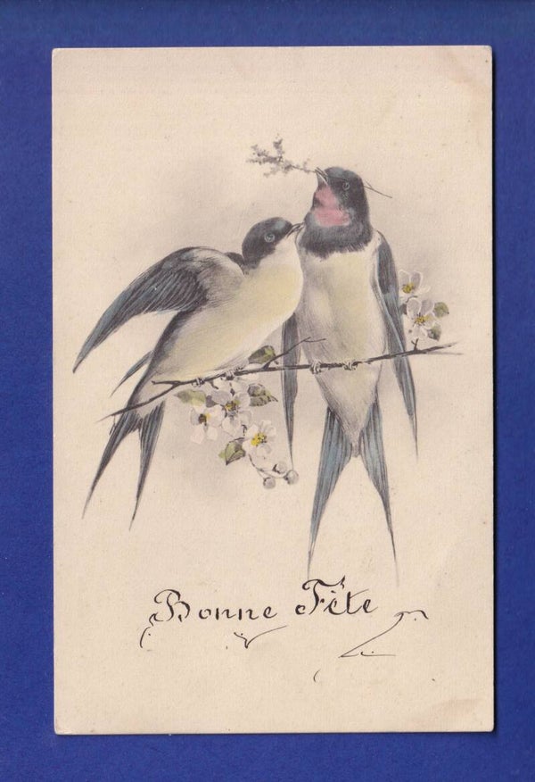 OISEAU - Hirondelles